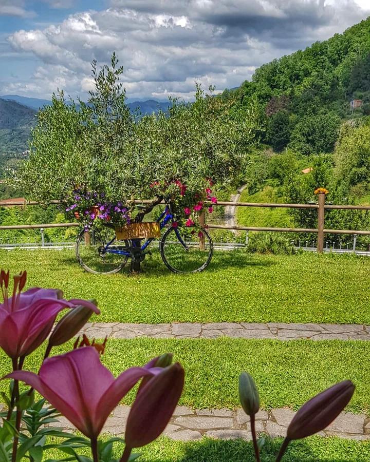 Relax Nella Natura Bolano Екстериор снимка