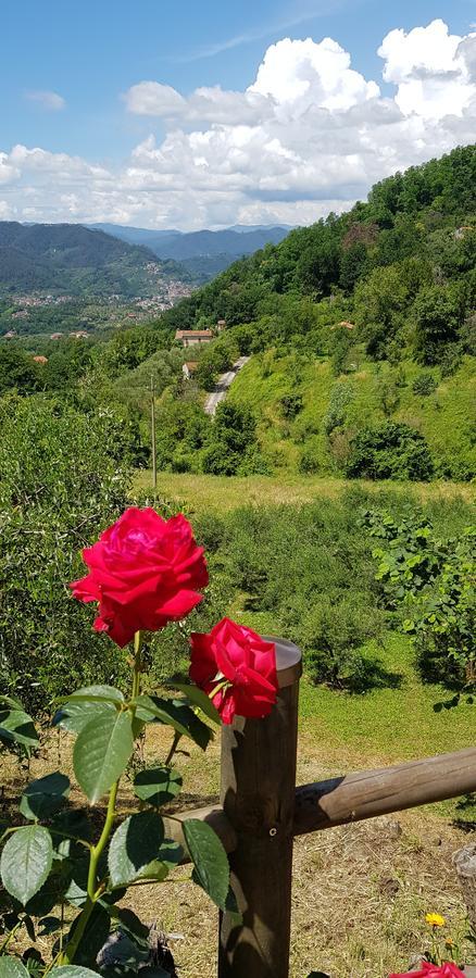 Relax Nella Natura Bolano Екстериор снимка